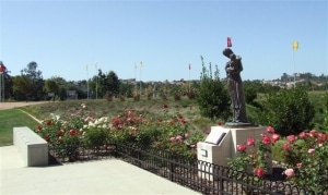 RoseGarden&StJoseph